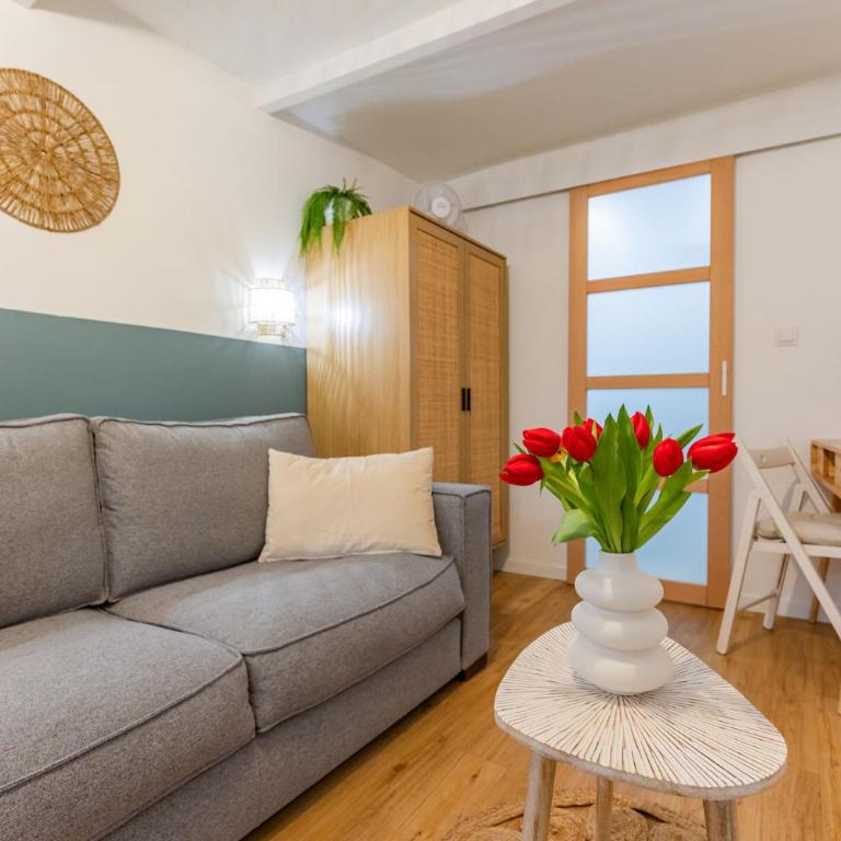 Studio cozy centre avec Parking - Appartement 1 Chambre - 15