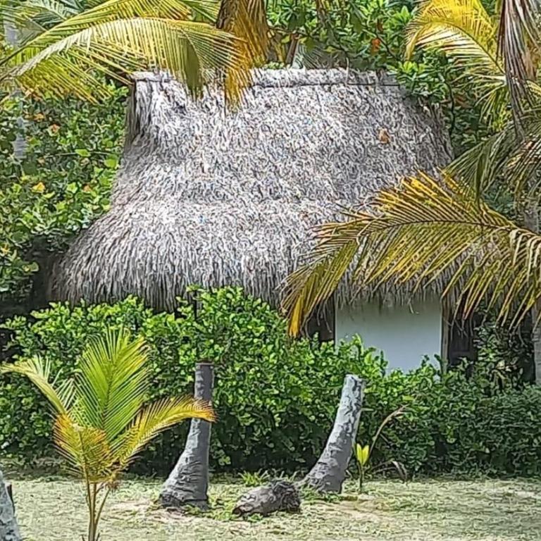Playa Pikua Ecolodge - Bungalow frente a la playa - 2