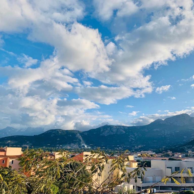 Appartement Les Asphodèles Calvi - Appartamento con 1 Camera da Letto - 20