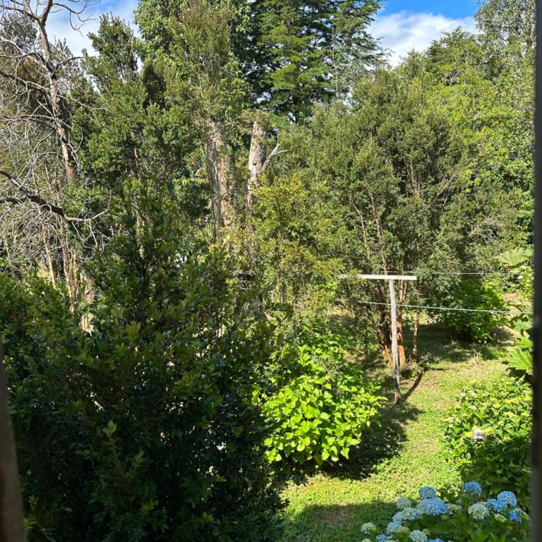 Cabañas Kuyén Austral - Apartment - 5