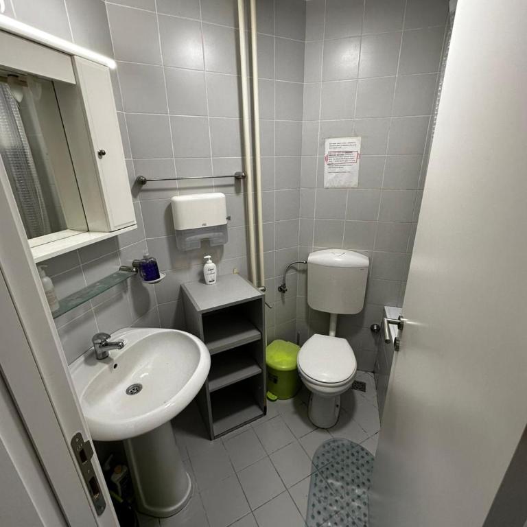 Arena Belgrade - Apartman sa 3 Spavaće Sobe - 42