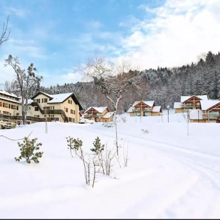 Duplex-Chalet entre Lac et Montagne avec Balcon - Appartement 2 Chambres - 22