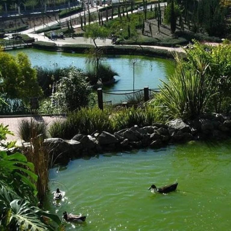 Apartment Large Terrace Sea & Mountain Benalbeach - Apartamento con terraza - 43