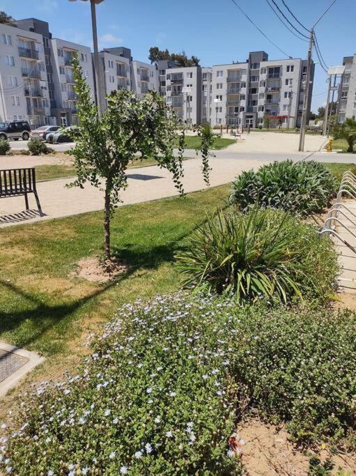Apartamento en La Serena, Puertas del mar - Apartamento de 2 dormitorios - 6