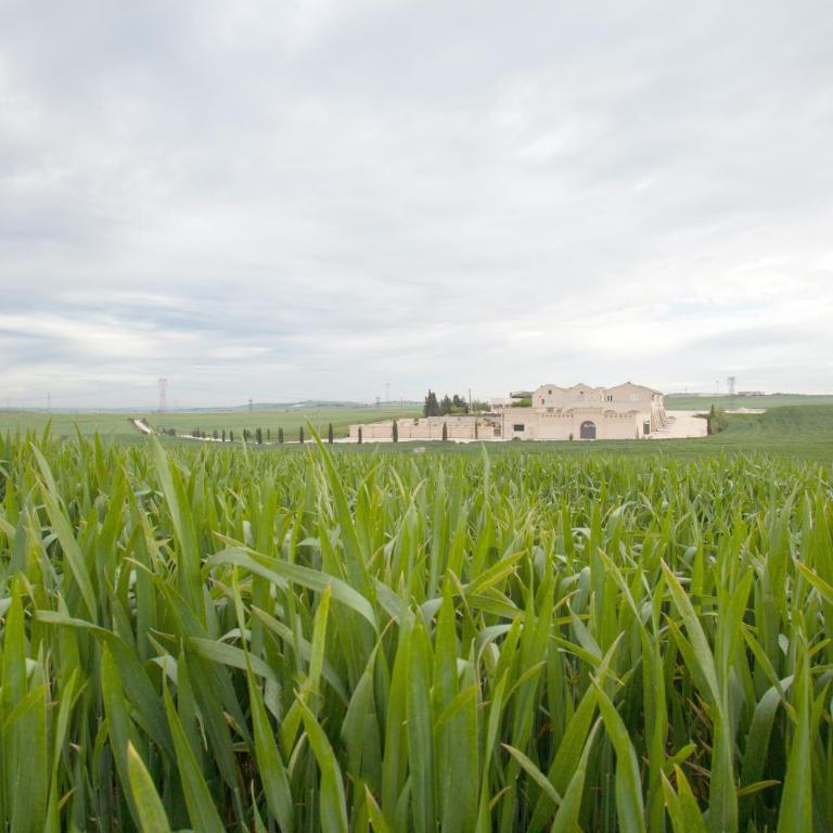 Tenuta Danesi - Camere - Appartamenti - Bubble Room - Camera Deluxe - 4