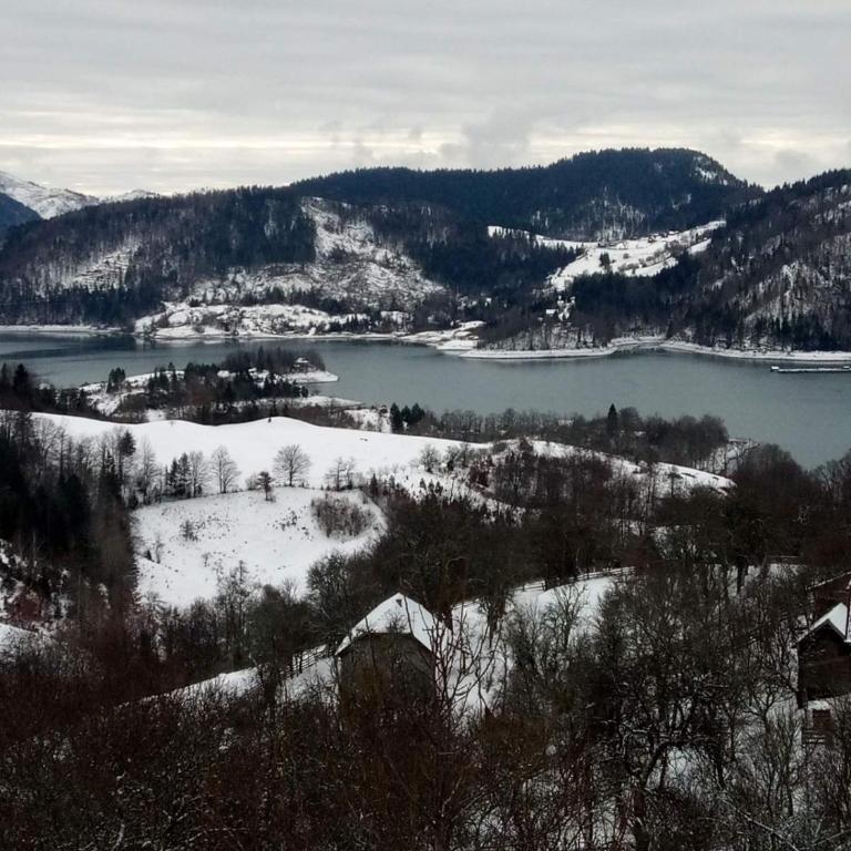 Zaovinska Panorama I - Apartman sa 1 Spavaćom Sobom - 37