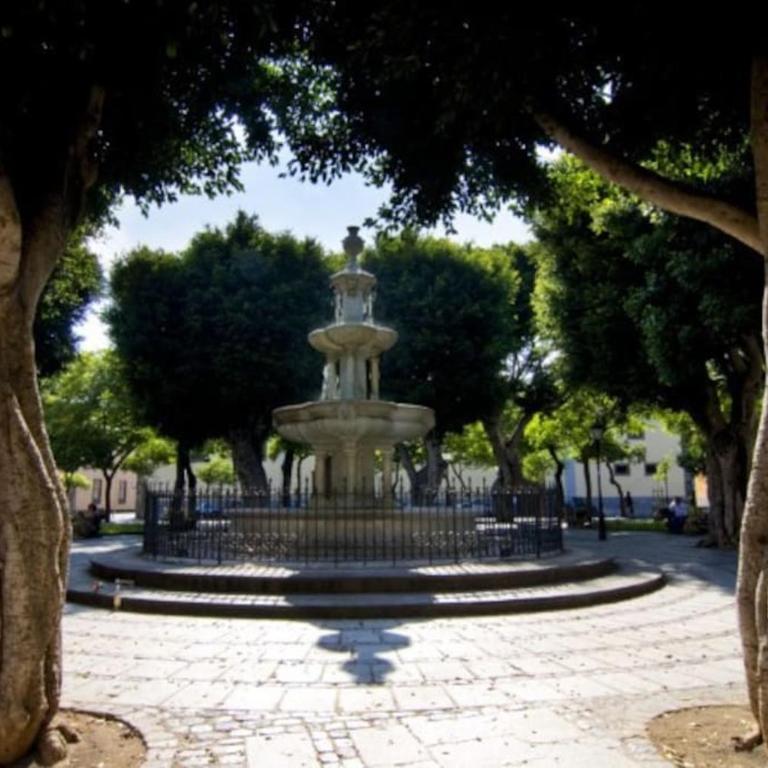 4 La Laguna, céntrico y acogedor - Apartamento de 1 dormitorio - 37