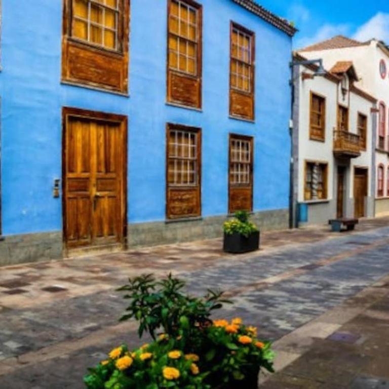 4 La Laguna, céntrico y acogedor - Apartamento de 1 dormitorio - 38