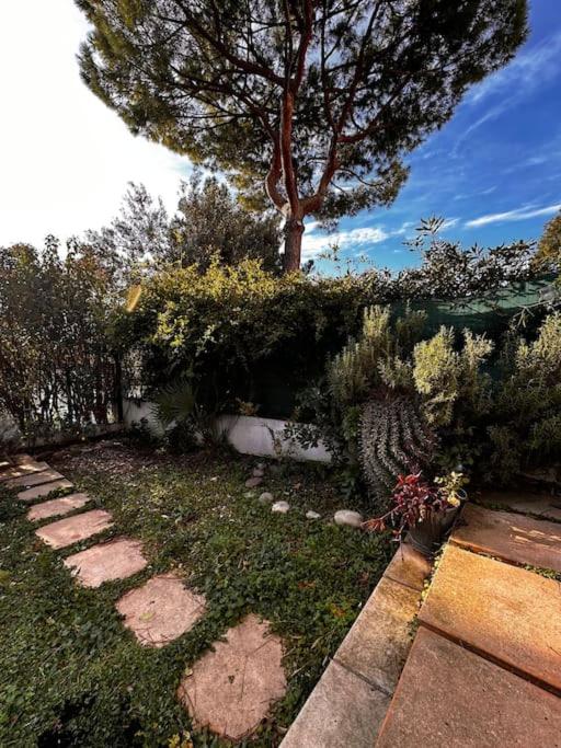 Bagatelle Prado - Appartement - Vue sur Jardin - 32