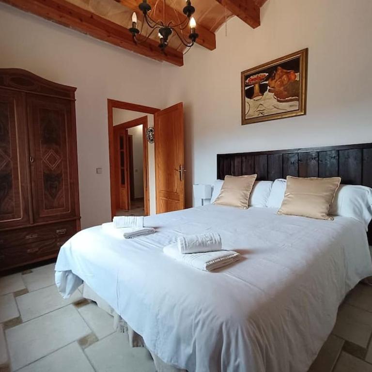 Finca rural s'Estepa - Villa con piscina privada - 19