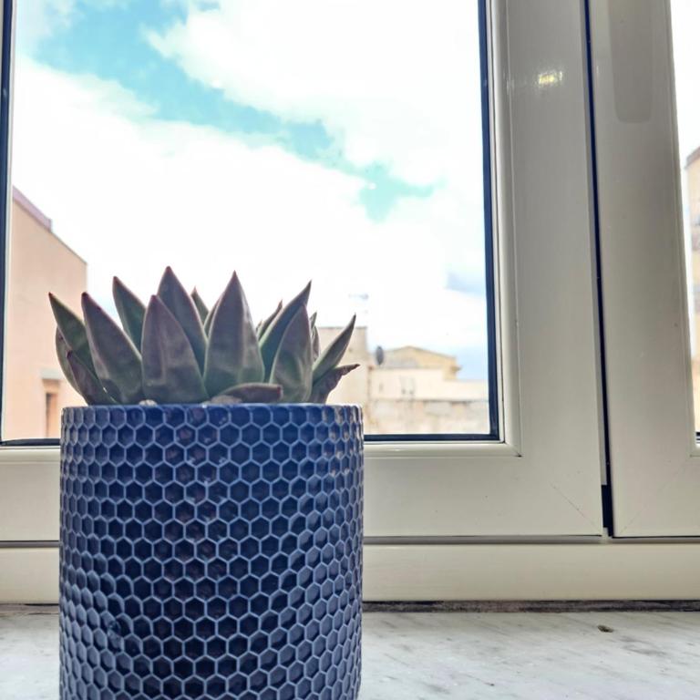 Terrazza Ballarò - Appartamento con 2 Camere da Letto - 16