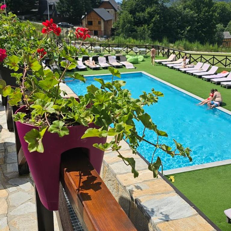 Apt in the Sky - Kopaonik Kraljevi Čardaci - One-Bedroom Apartment - 23