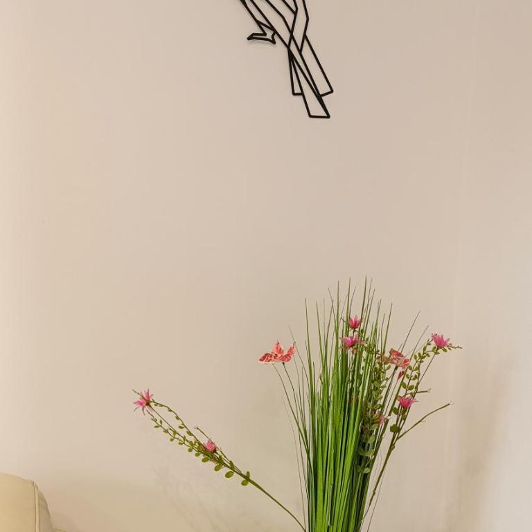 Foucault - Appartements - au cœur de Lourdes - Appartamento - 16