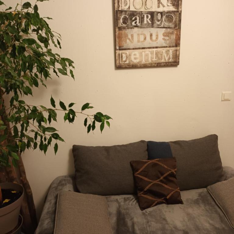 Tête d'Or Forest - Apartamento de 1 dormitorio - 3