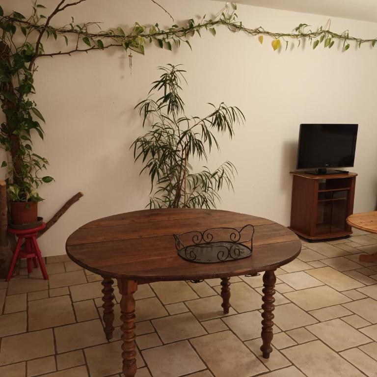 Tête d'Or Forest - Apartamento de 1 dormitorio - 7