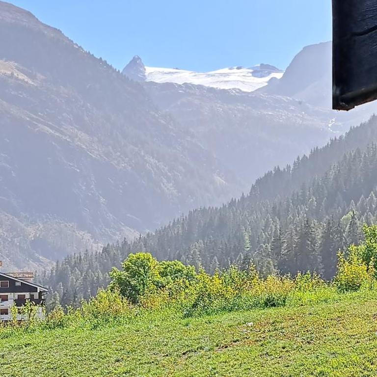 La Thuile bilocale frazione Entrèves Condominio Ametista 30 - Apartamento de 1 dormitorio - 19