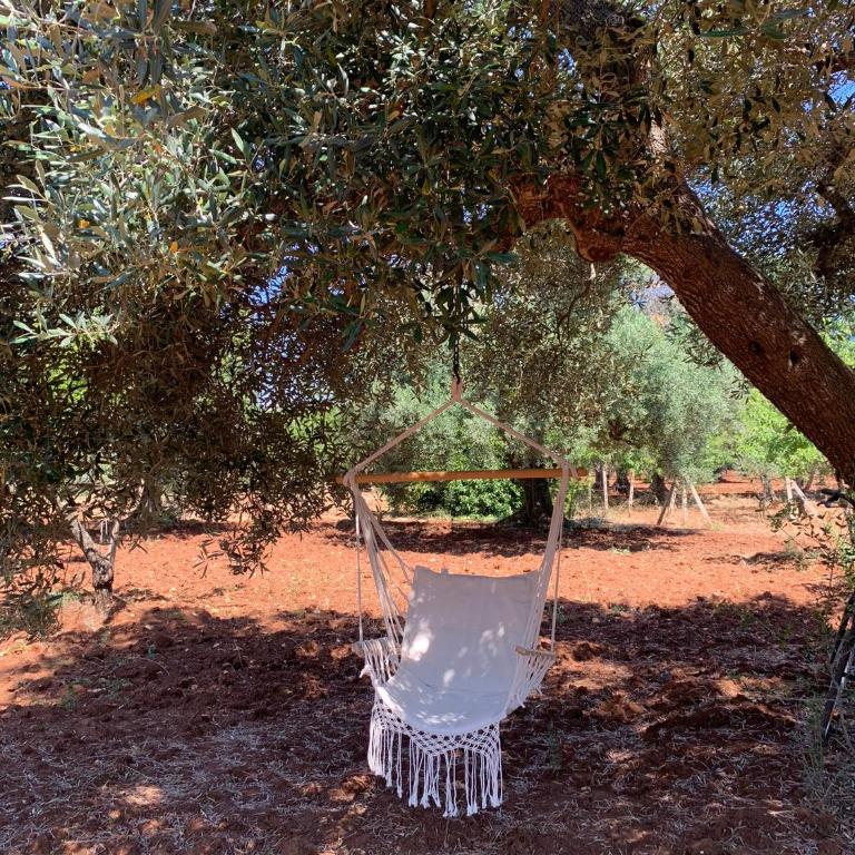 Casa Trullo Bianco: Casa Limone - Camera Matrimoniale con Bagno Privato - 19