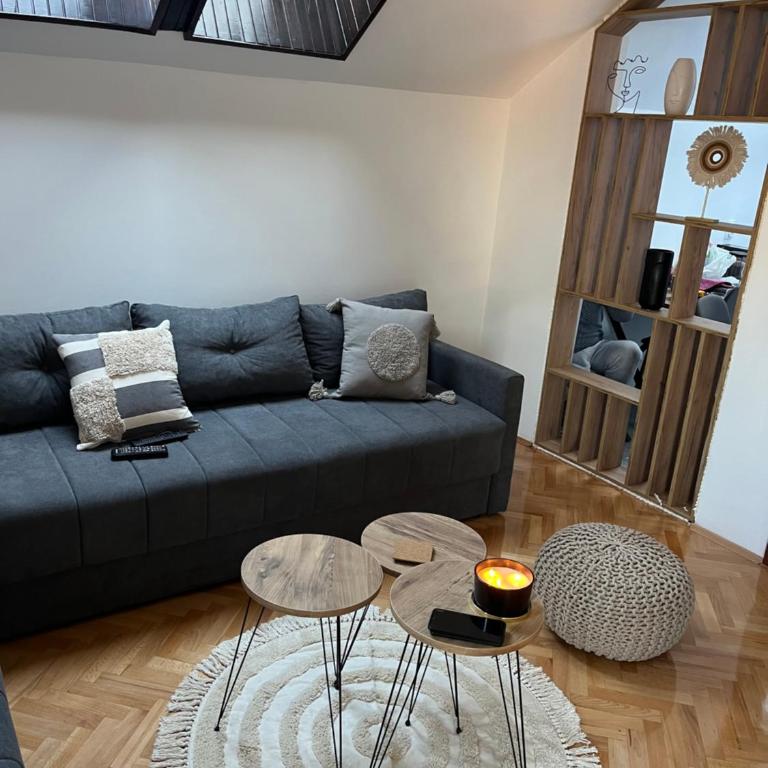 Stanoteka - Apartman sa 1 Spavaćom Sobom - 9