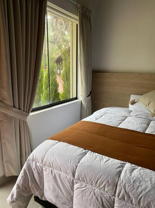 FUNDO VIERA: Amplio y acogedor - Apartment - 7
