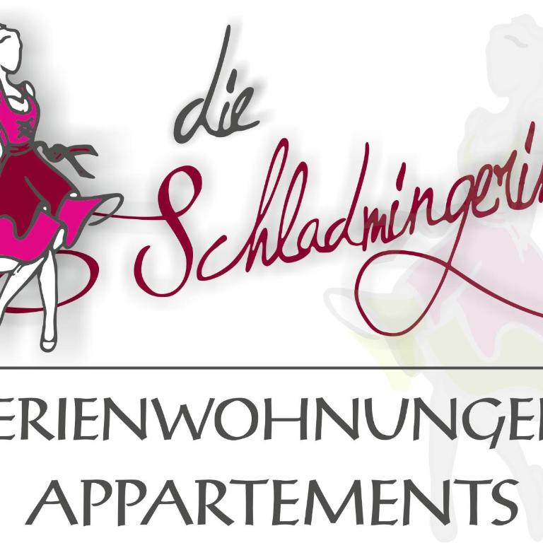 Die Schladmingerin Franz - Apartment mit 3 Schlafzimmern - obere Etage - 11