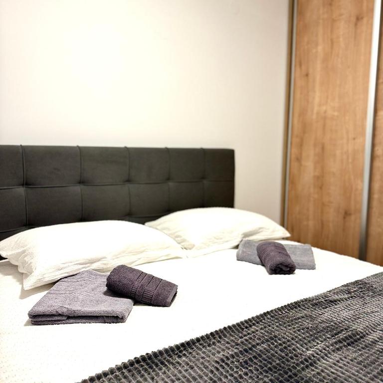 Apartmani Obućina Kapije Jahorina - Apartment - 18