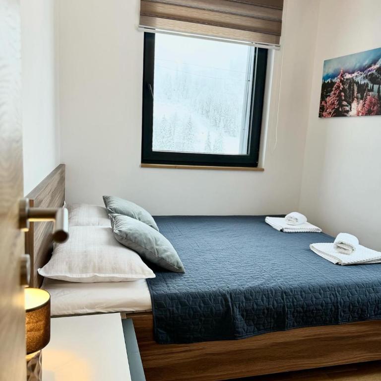 Apartmani Obućina Kapije Jahorina - Apartment - 3