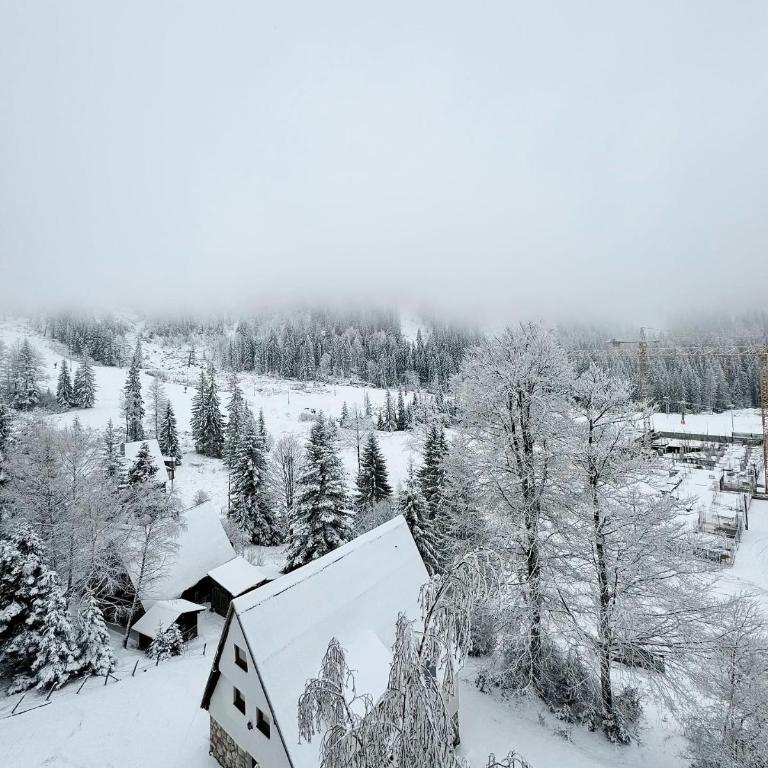 Apartmani Obućina Kapije Jahorina - Apartment - 9
