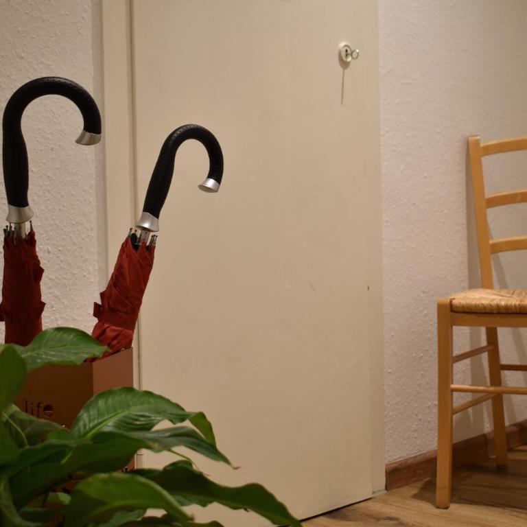 Gästehaus Eberhart - Apartment mit 1 Schlafzimmer - 21