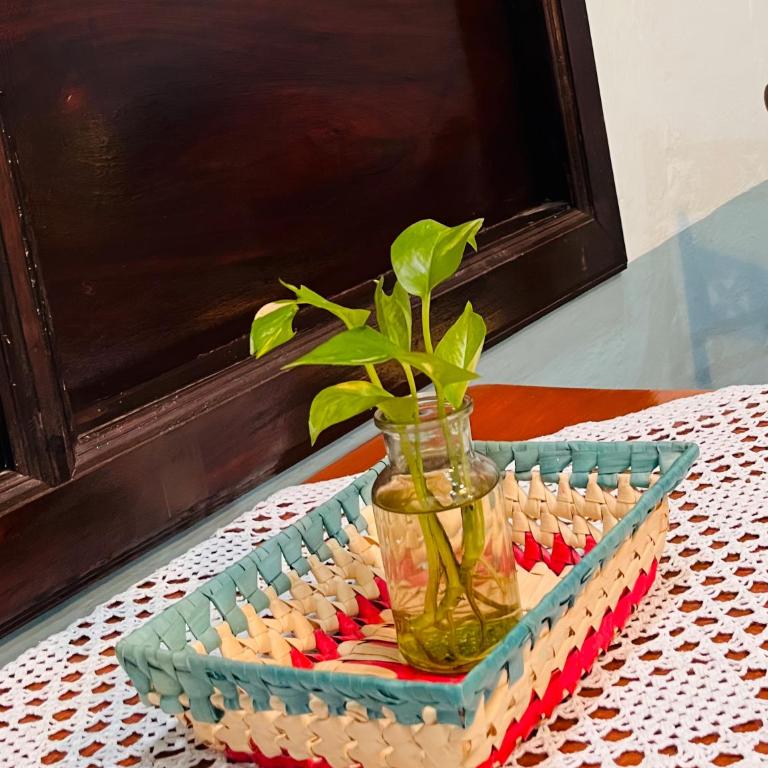 Casa Tres Colibries - Suite Junior - 7