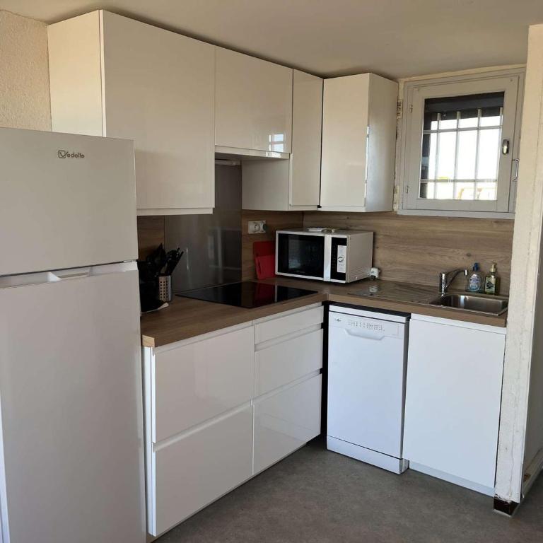 Duplex central avec terrasse, parking et équipements modernes pour 6 personnes à Marseillan - FR-1-387-201 - Appartement - 5