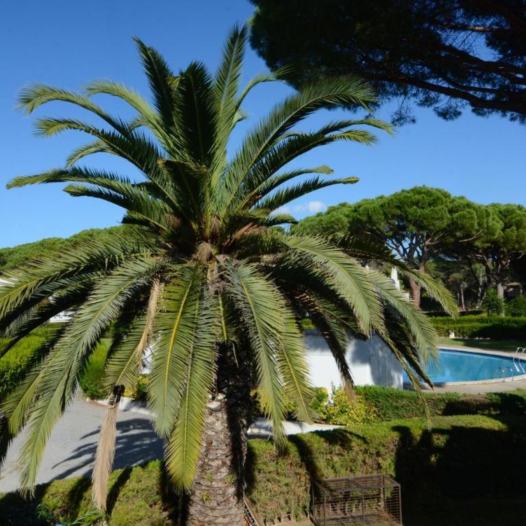 PIVERD DEL GOLF 22 - Casa - 2