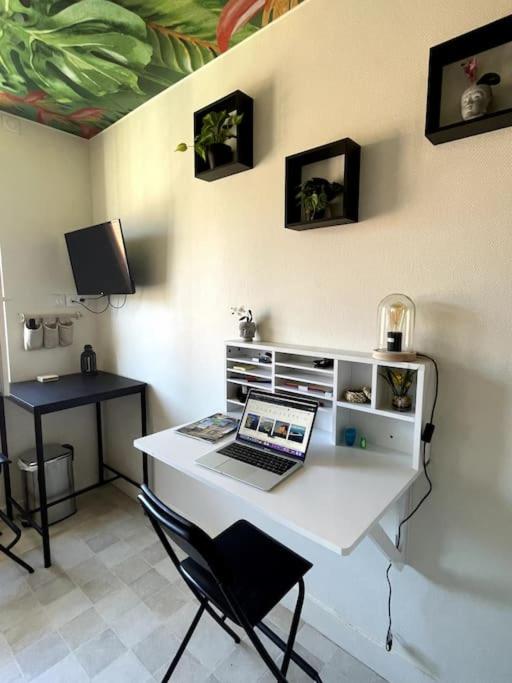 St Bruno - Studio Tropiques - Studio Standard - 9