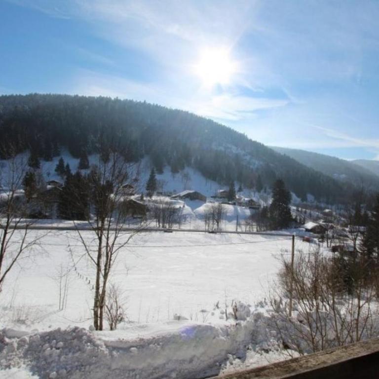 LE GRAND CERF Chalet en rondins avec SPA Jacuzzi - Chalet - 46