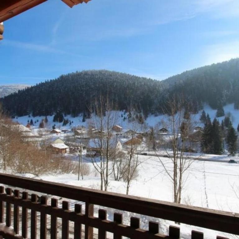 LE GRAND CERF Chalet en rondins avec SPA Jacuzzi - Chalet - 47