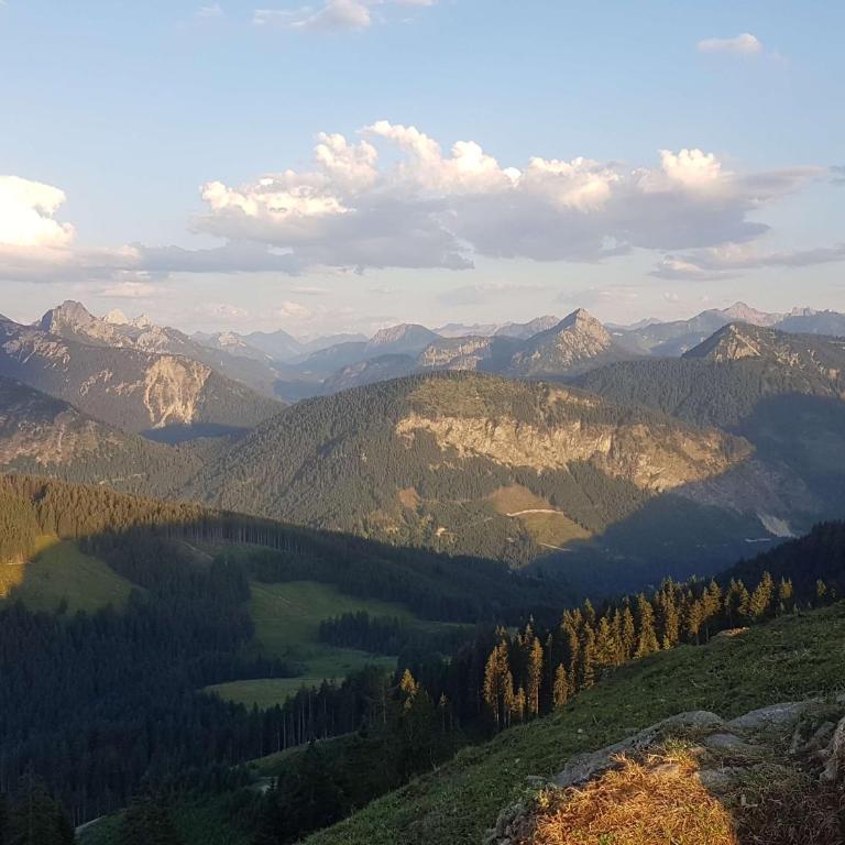 4-Sterne Tiny House & erholsame Ruhe und ganz viel Natur im Oberallgäu - Chalet mit 1 Schlafzimmer - 15