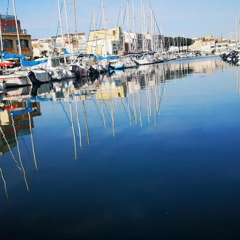 Port Dauphin 3 -Cap d'Agde- - Apartamento de 1 dormitorio - 35