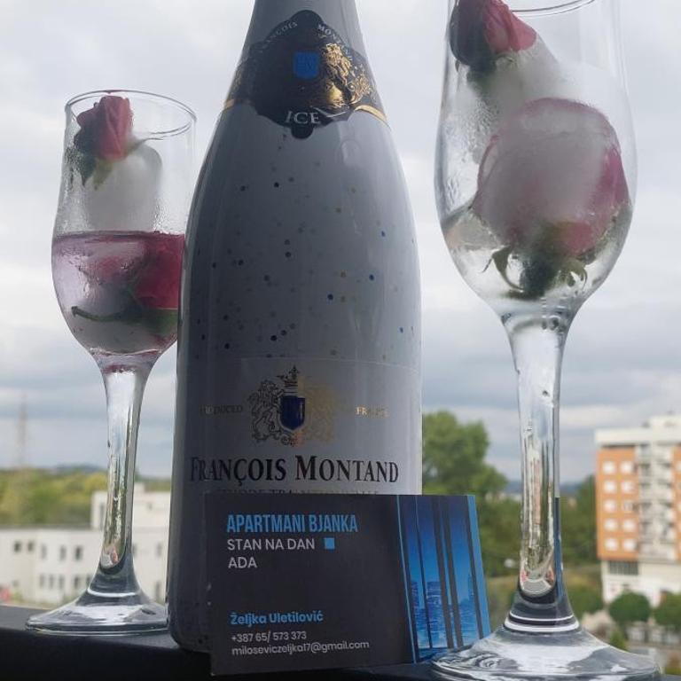 Apartman Bjanka - Apartman sa 1 Spavaćom Sobom - 33
