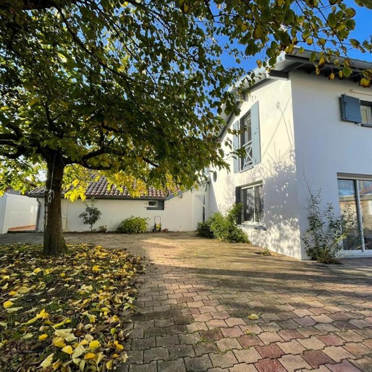 Spacieuse villa avec véranda et jardin à Capbreton - FR-1-413-209 - Villa - 22