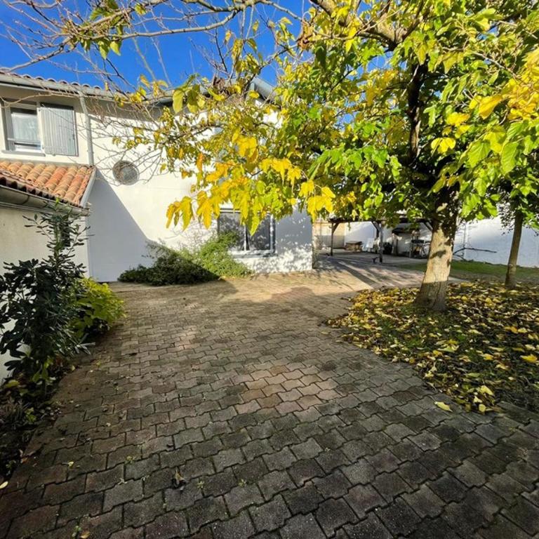 Spacieuse villa avec véranda et jardin à Capbreton - FR-1-413-209 - Villa - 23