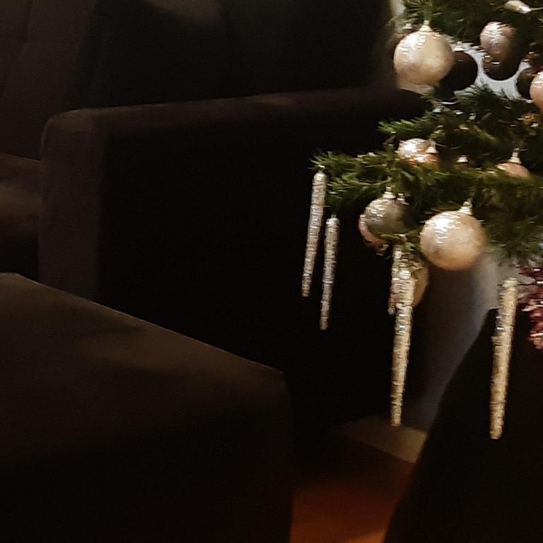 Apartman Anastasija - Apartman sa 2 Spavaće Sobe - 16