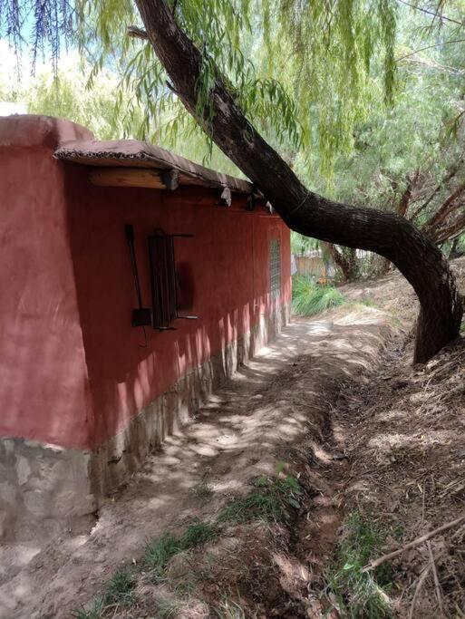 La Escondida - Casa de 2 dormitorios - 15