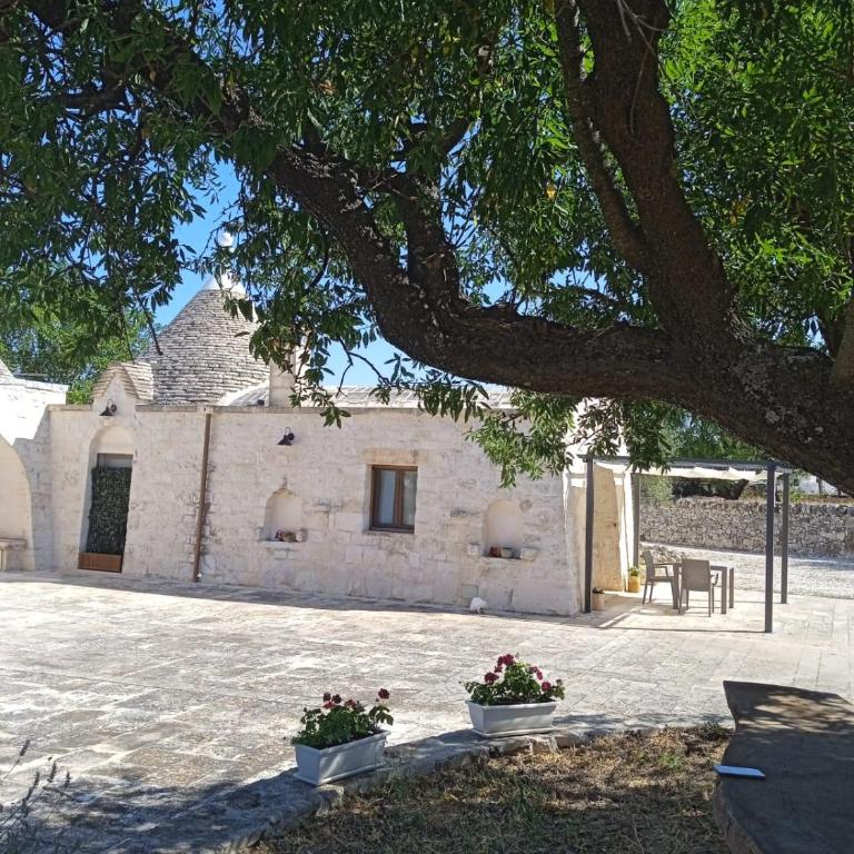 Trulli della Catena - Casa con 1 Camera da Letto - 1