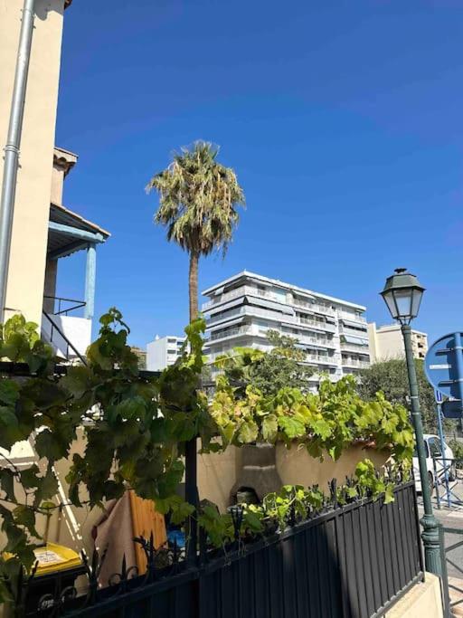 Orangers - Bord de mer - Studio cosy 4 personnes - Apartment mit 1 Schlafzimmer - 30