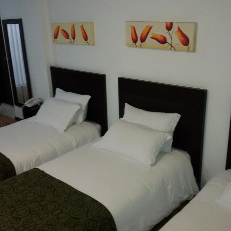 Europa Hotel Boutique Manizales - Habitación Triple - 2