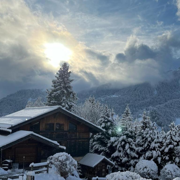 Superbe CHALET (14 personnes) & SAUNA au pied du Mont Blanc - Chalet - 3