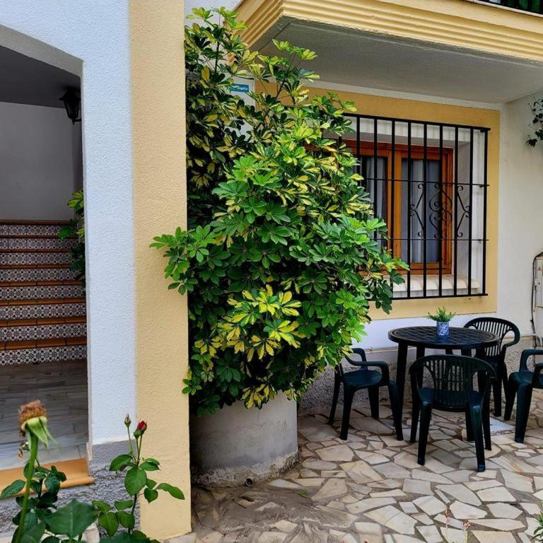 La Casita Azul Bajo - Apartamento de 1 dormitorio - 3