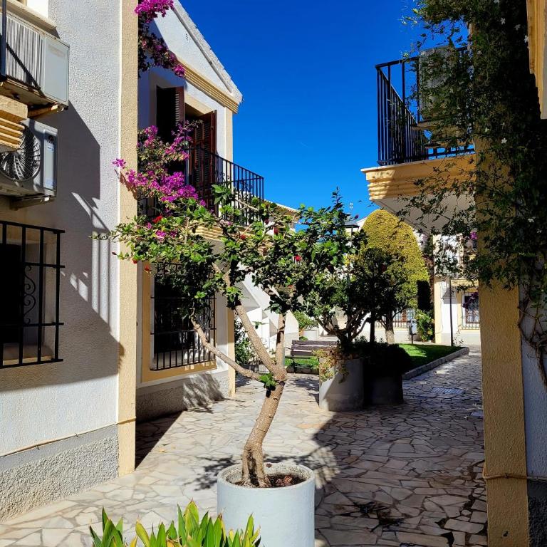 La Casa de Flores - Apartamento de 1 dormitorio - 4