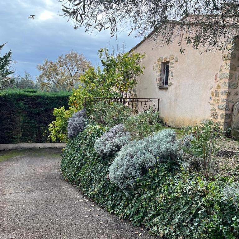 Villa provençale calme avec piscine chauffée 6 ch - Villa - 6