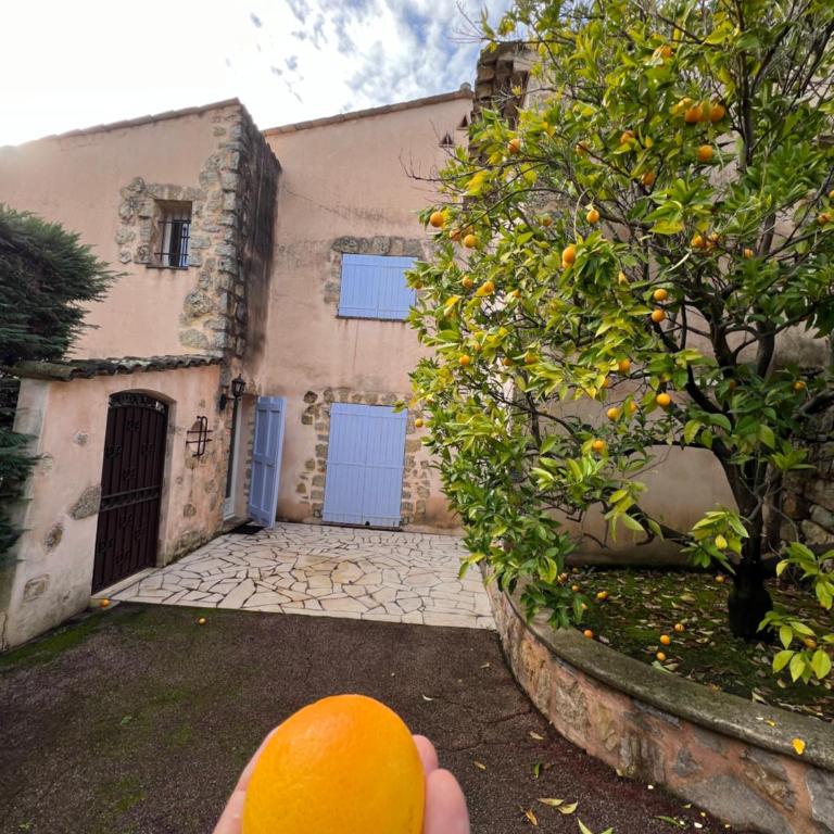 Villa provençale calme avec piscine chauffée 6 ch - Villa - 5
