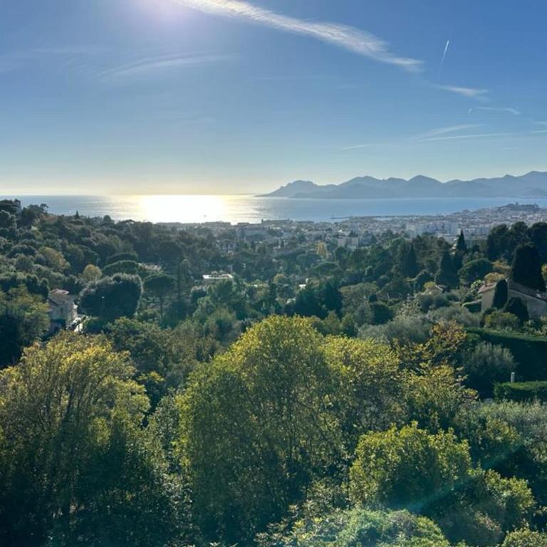 WE CANNES ! Amazing Sea View 2 Bedrooms La Vista - Appartement - 10